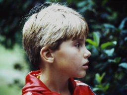 0DIA 1988 RAVAKAMP
